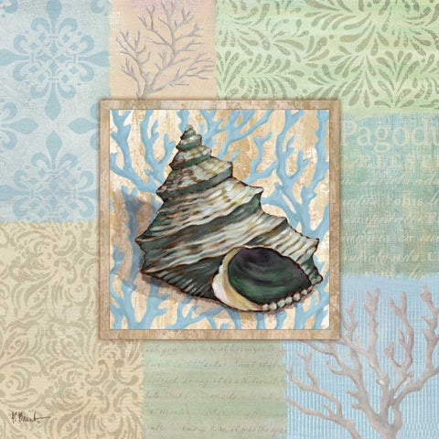 Oceanic Shell Collage II Black Modern Wood Framed Art Print with Double Matting by Brent, Paul