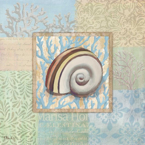 Oceanic Shell Collage IV White Modern Wood Framed Art Print with Double Matting by Brent, Paul