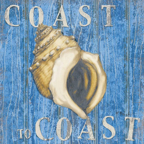 Coastal USA Conch Black Ornate Wood Framed Art Print with Double Matting by Brent, Paul