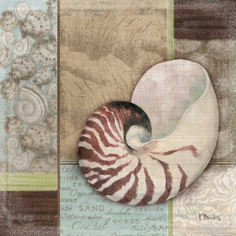 Santa Rosa Shell II Gold Ornate Wood Framed Art Print with Double Matting by Brent, Paul