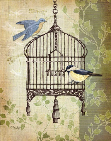 Botanical Birdcage II Black Ornate Wood Framed Art Print with Double Matting by Brent, Paul