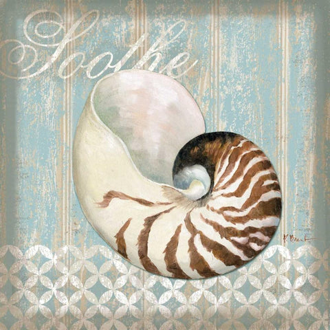 Spa Shells III Black Ornate Wood Framed Art Print with Double Matting by Brent, Paul