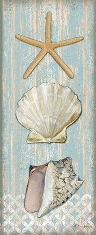 Spa Shells Vertical II White Modern Wood Framed Art Print with Double Matting by Brent, Paul