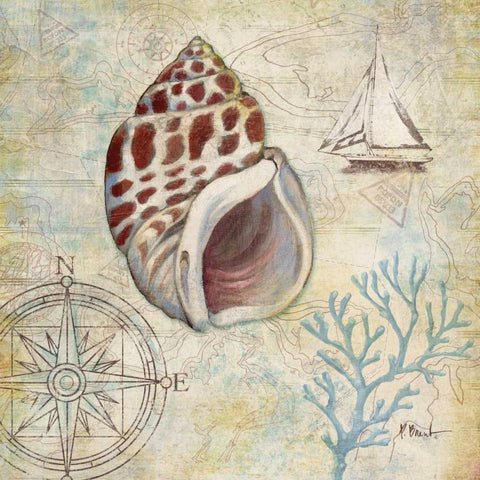 Discovery Shell IV White Modern Wood Framed Art Print by Brent, Paul