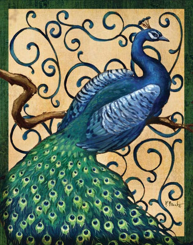 Majestic Peacock I White Modern Wood Framed Art Print with Double Matting by Brent, Paul