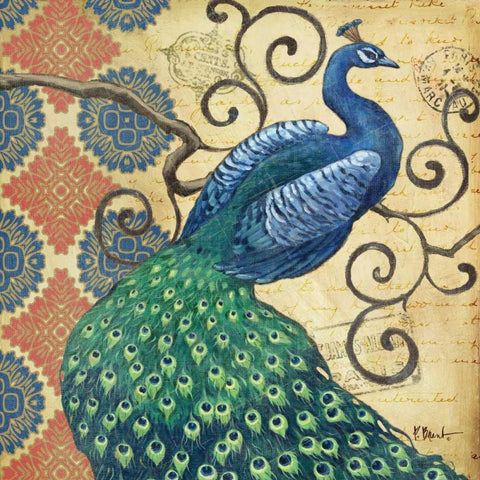 Peacocks Splendor I Gold Ornate Wood Framed Art Print with Double Matting by Brent, Paul