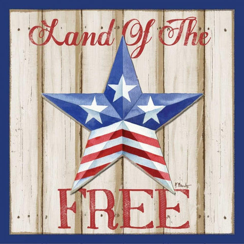 Patriotic Barn Star I White Modern Wood Framed Art Print with Double Matting by Brent, Paul