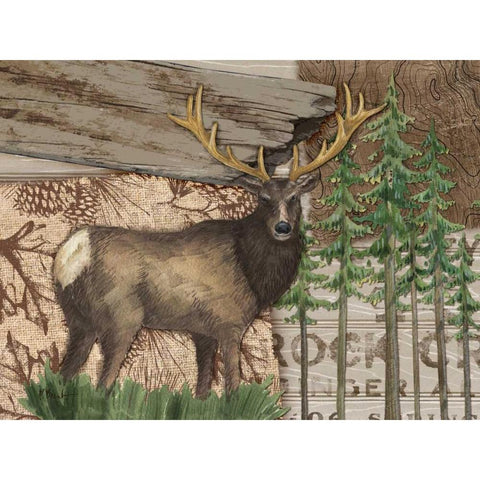 Alpine Collage II Gold Ornate Wood Framed Art Print with Double Matting by Brent, Paul