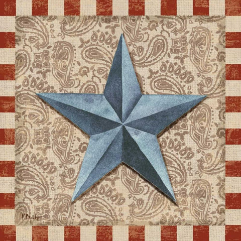 American Barn Star II White Modern Wood Framed Art Print with Double Matting by Brent, Paul