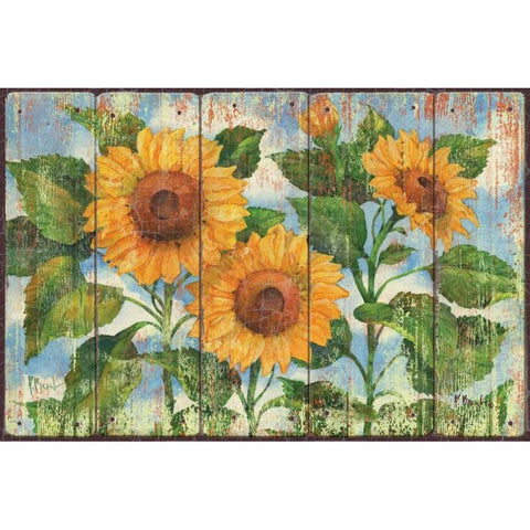 Summer Sunflowers Black Modern Wood Framed Art Print with Double Matting by Brent, Paul