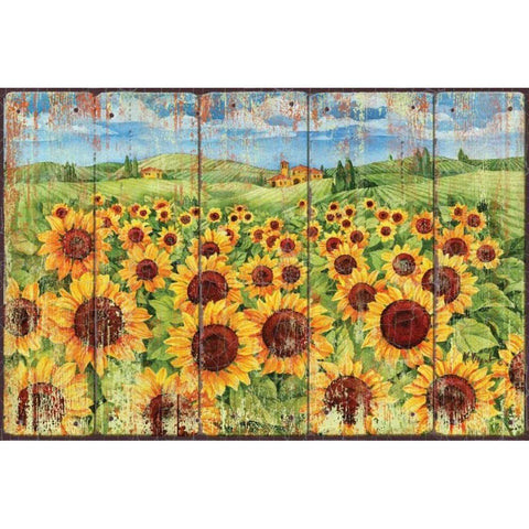 Sunflower Field Gold Ornate Wood Framed Art Print with Double Matting by Brent, Paul