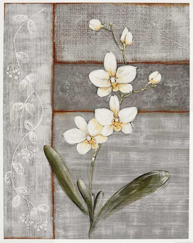 Orchid Shimmer I White Modern Wood Framed Art Print with Double Matting by Braun, O.