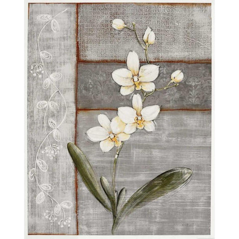 Orchid Shimmer I White Modern Wood Framed Art Print by Braun, O.