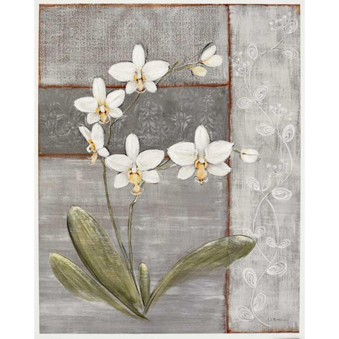 Orchid Shimmer II Black Modern Wood Framed Art Print with Double Matting by Braun, O.