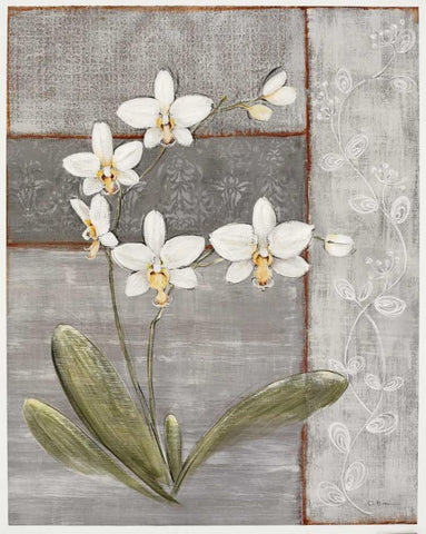 Orchid Shimmer II White Modern Wood Framed Art Print with Double Matting by Braun, O.