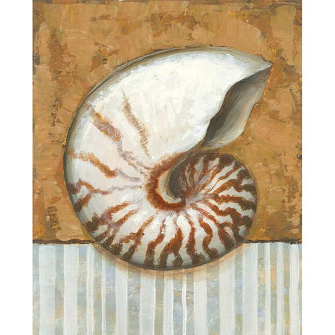 Vintage Shell I Black Modern Wood Framed Art Print with Double Matting by Bates, K.