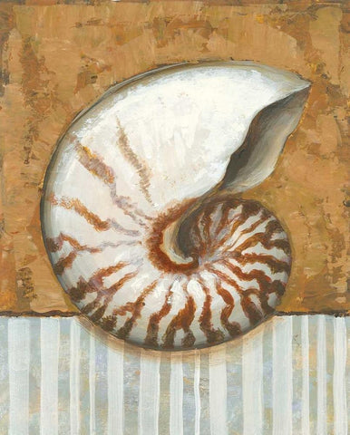 Vintage Shell I White Modern Wood Framed Art Print with Double Matting by Bates, K.