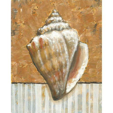 Vintage Shell II Black Modern Wood Framed Art Print with Double Matting by Bates, K.