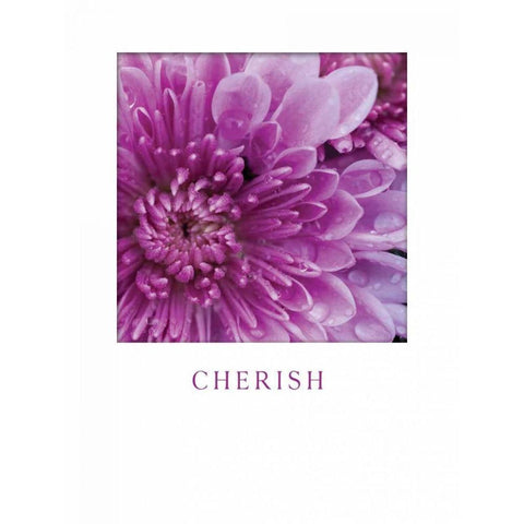 Cherish Black Modern Wood Framed Art Print with Double Matting by Berzel, Erin