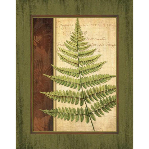 Fern Grotto I Black Modern Wood Framed Art Print with Double Matting by Corbin, Delphine