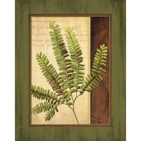 Fern Grotto II Gold Ornate Wood Framed Art Print with Double Matting by Corbin, Delphine