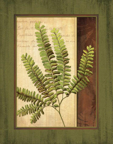 Fern Grotto II White Modern Wood Framed Art Print with Double Matting by Corbin, Delphine