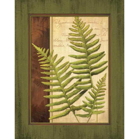 Fern Grotto III Black Modern Wood Framed Art Print with Double Matting by Corbin, Delphine