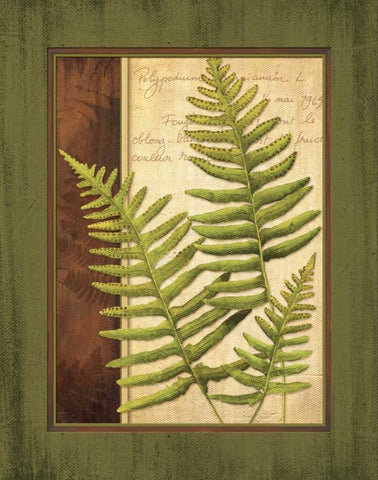 Fern Grotto III White Modern Wood Framed Art Print with Double Matting by Corbin, Delphine