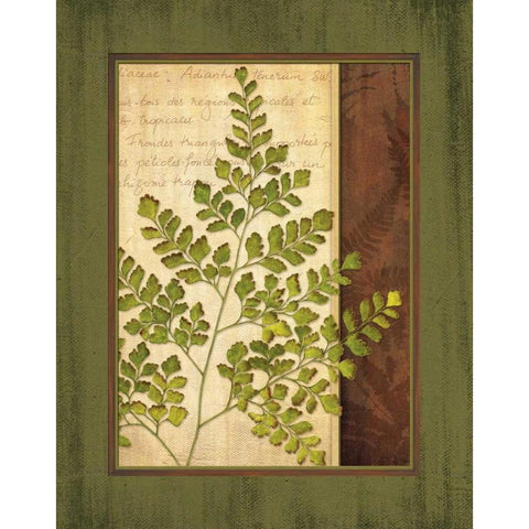 Fern Grotto IV Gold Ornate Wood Framed Art Print with Double Matting by Corbin, Delphine