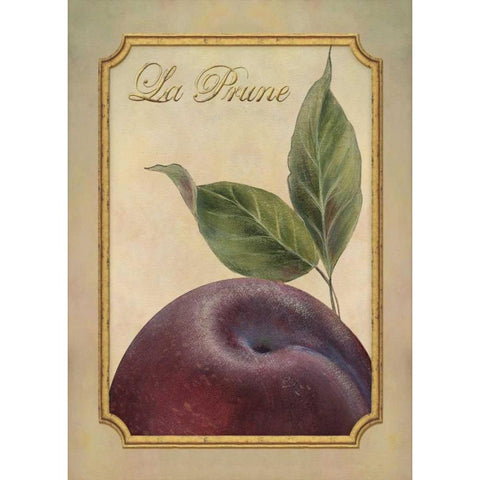 La Prune White Modern Wood Framed Art Print by Corbin, Delphine