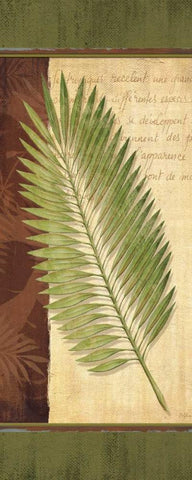 Palm Tropic Panel III White Modern Wood Framed Art Print with Double Matting by Corbin, Delphine