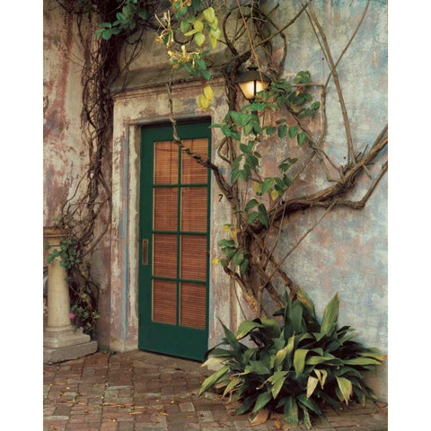 Door No.7 Black Modern Wood Framed Art Print with Double Matting by Cieslikowski, Zeny