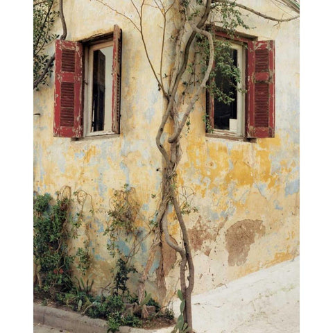 Two Windows Red Shutters Black Modern Wood Framed Art Print by Cieslikowski, Zeny