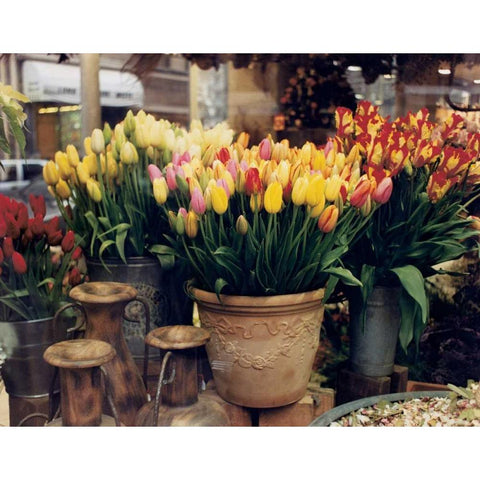 Tulips Paris Black Modern Wood Framed Art Print by Cieslikowski, Zeny