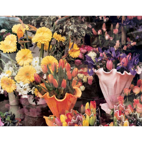 Flowers Florence White Modern Wood Framed Art Print by Cieslikowski, Zeny