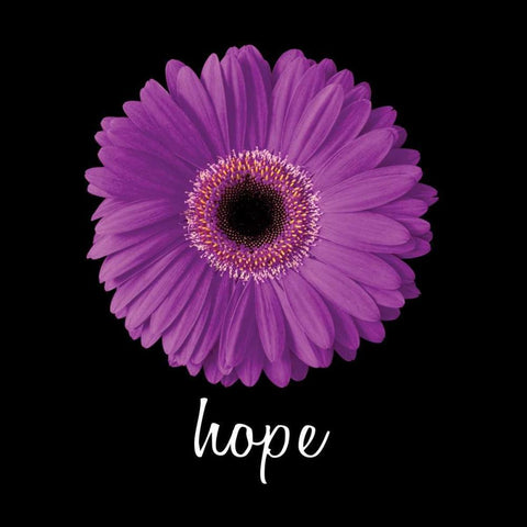 Hope Daisy Black Modern Wood Framed Art Print by Christensen, Jim