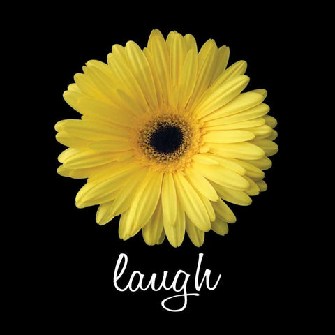 Laugh Daisy White Modern Wood Framed Art Print with Double Matting by Christensen, Jim