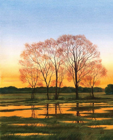 Marsh at Dusk I Black Ornate Wood Framed Art Print with Double Matting by Duke, William