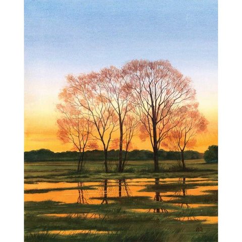 Marsh at Dusk I White Modern Wood Framed Art Print by Duke, William