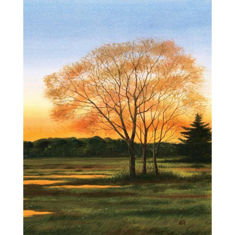 Marsh at Dusk II White Modern Wood Framed Art Print by Duke, William