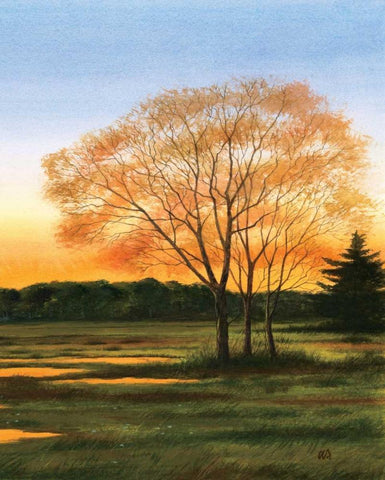 Marsh at Dusk II White Modern Wood Framed Art Print with Double Matting by Duke, William