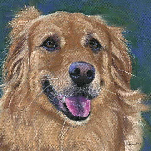 Golden Retreiver White Modern Wood Framed Art Print with Double Matting by Golubski, Becky