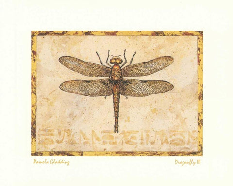 Dragonfly III Black Ornate Wood Framed Art Print with Double Matting by Gladding, Pamela