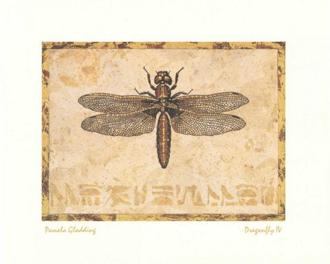 Dragonfly IV White Modern Wood Framed Art Print with Double Matting by Gladding, Pamela