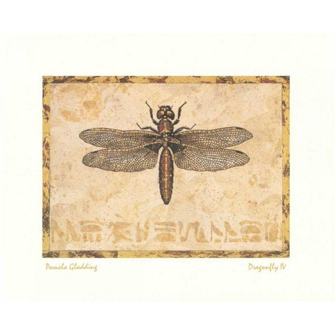 Dragonfly IV White Modern Wood Framed Art Print by Gladding, Pamela