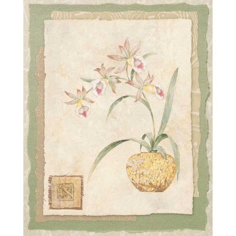 Orchid II Gold Ornate Wood Framed Art Print with Double Matting by Gladding, Pamela