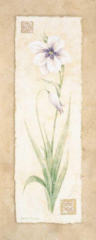 Gladiola White Modern Wood Framed Art Print with Double Matting by Gladding, Pamela