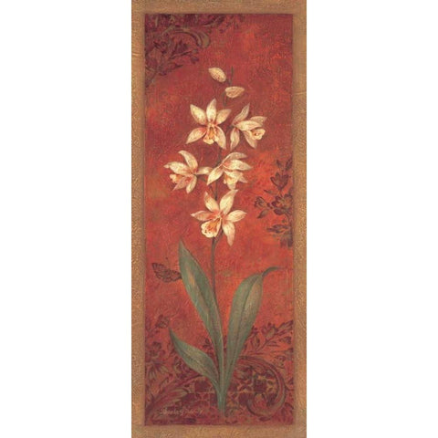 Cymbidium Black Modern Wood Framed Art Print with Double Matting by Gladding, Pamela