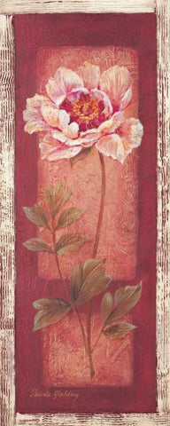 Red Door Peony White Modern Wood Framed Art Print with Double Matting by Gladding, Pamela