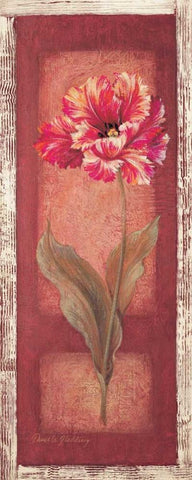 Red Door Tulip White Modern Wood Framed Art Print with Double Matting by Gladding, Pamela